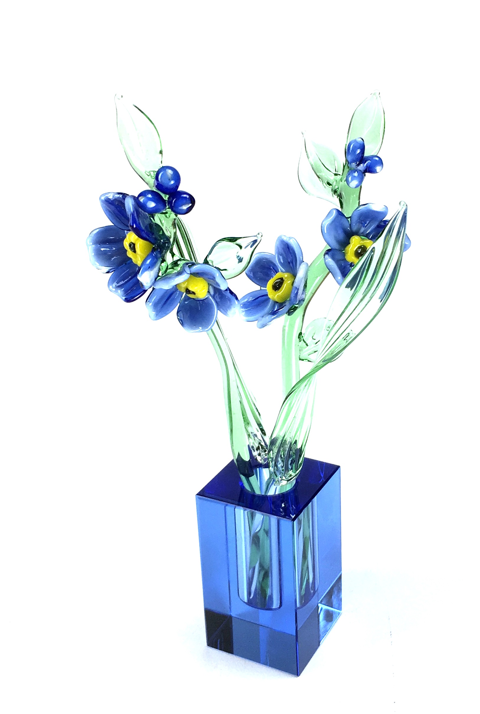 1 Forgetmenot