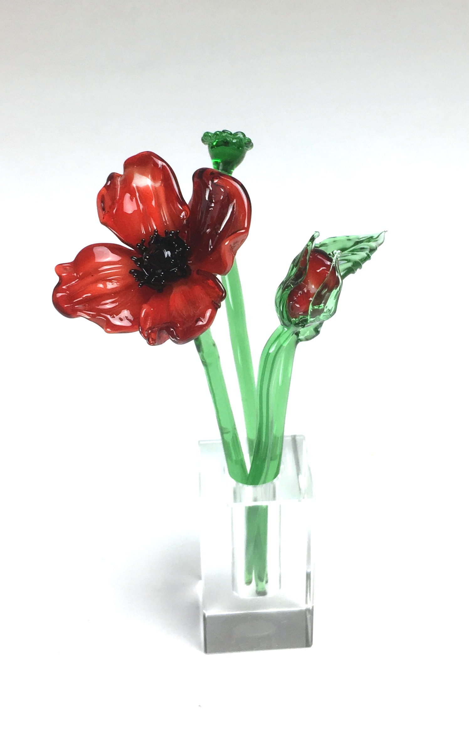 1 Poppy 1