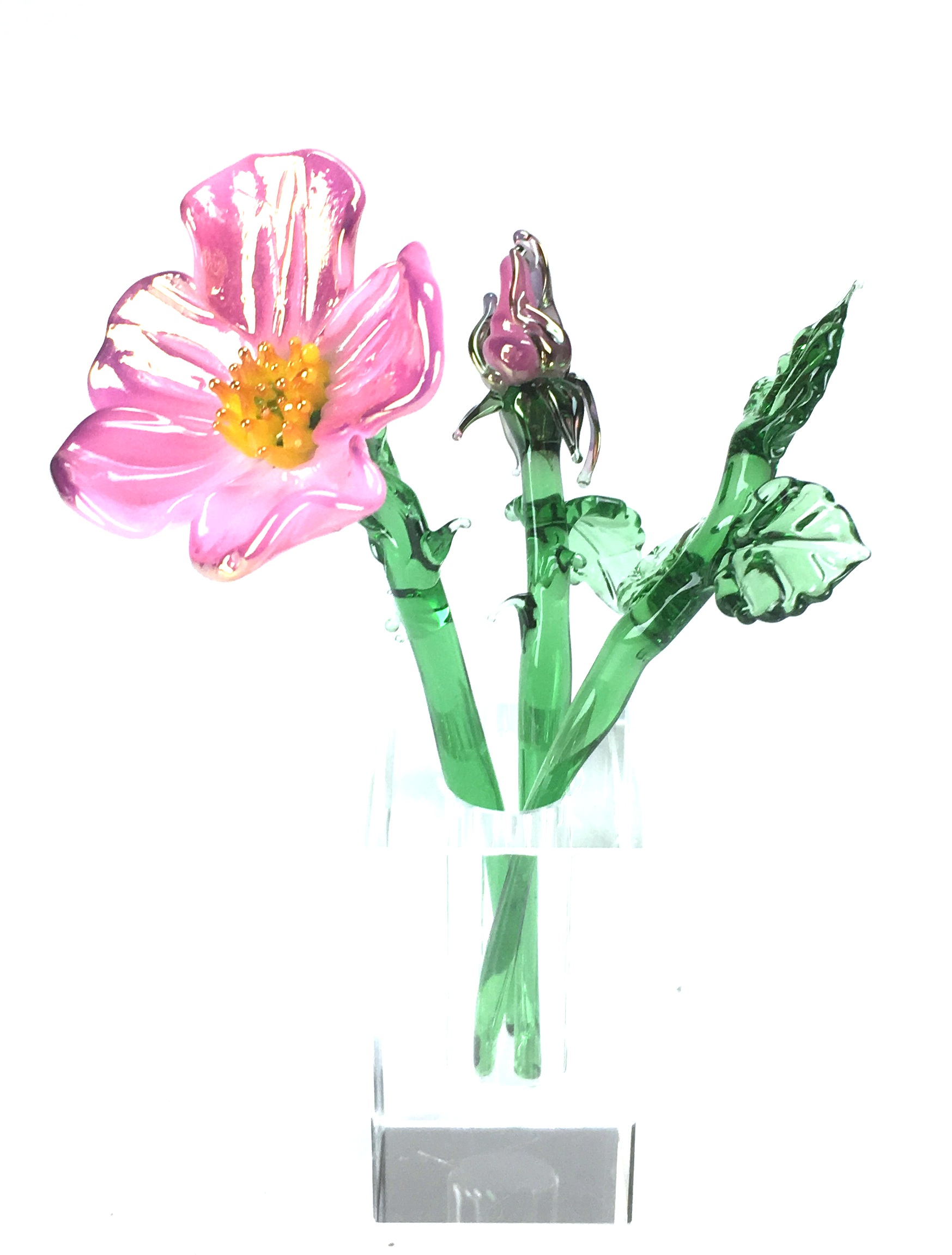 1 Wild Rose