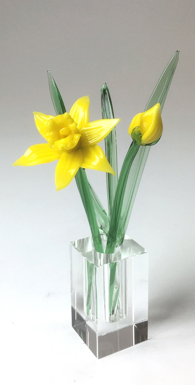 daffodil
